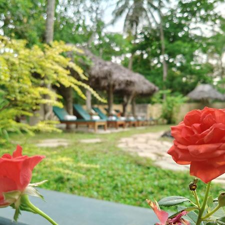 Marari Beach Bungalow Resort Alleppey Mararikulam Eksteriør bilde