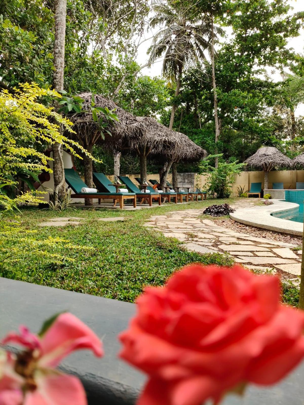 Marari Beach Bungalow Resort Alleppey Mararikulam Eksteriør bilde