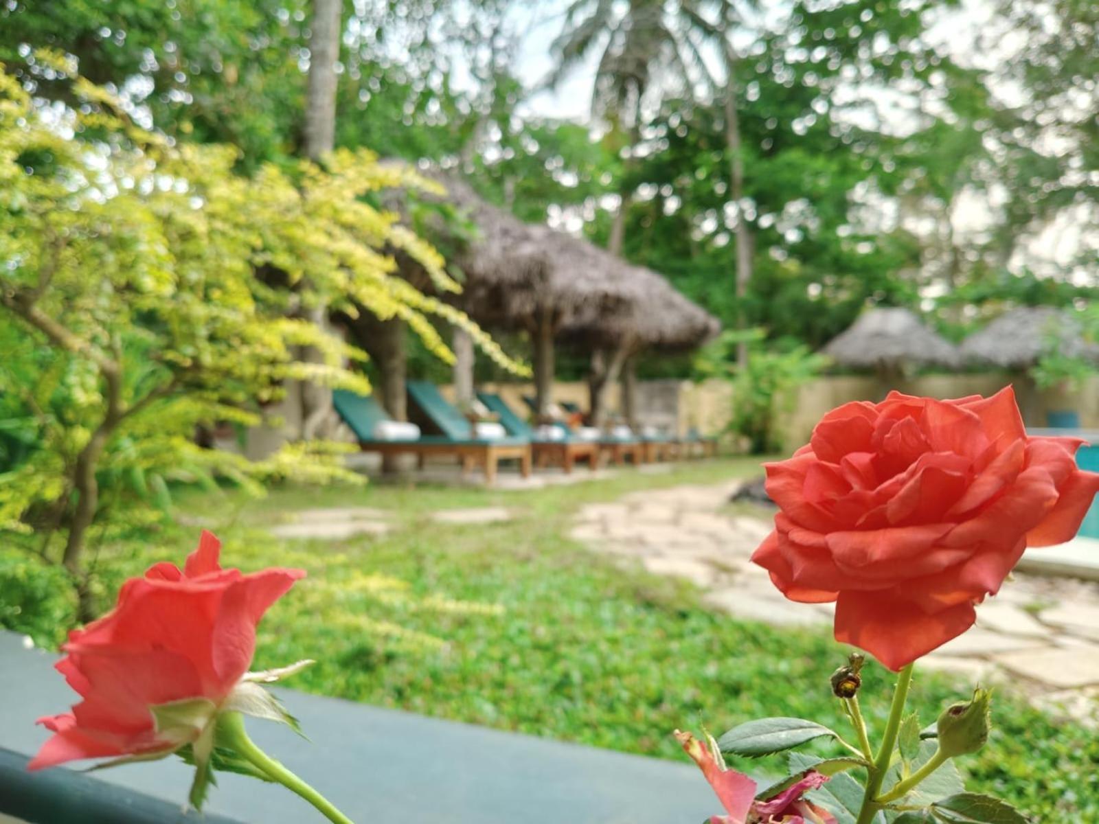 Marari Beach Bungalow Resort Alleppey Mararikulam Eksteriør bilde